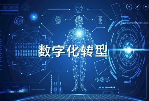 数字时代品牌转型的双轨路径